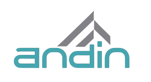 Andin